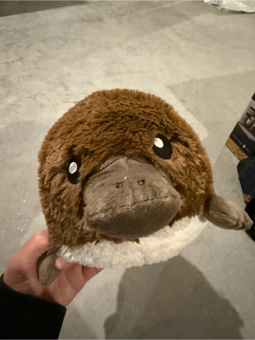 Squishable Baby Platypus